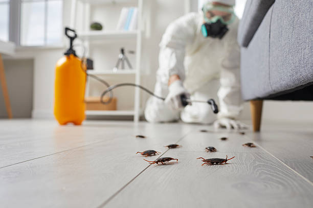 Commercial Rodent Management in Rehoboth Beach